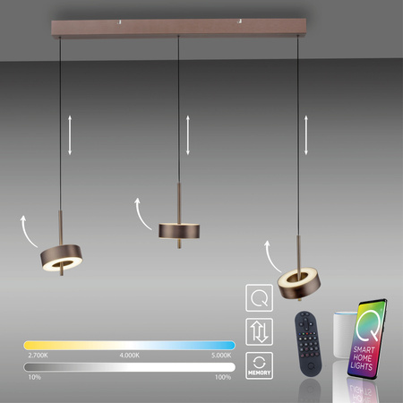 Lampa Wisząca Ciemny metalowy brąz Q-ROTATE 003902-030581 Newgarden