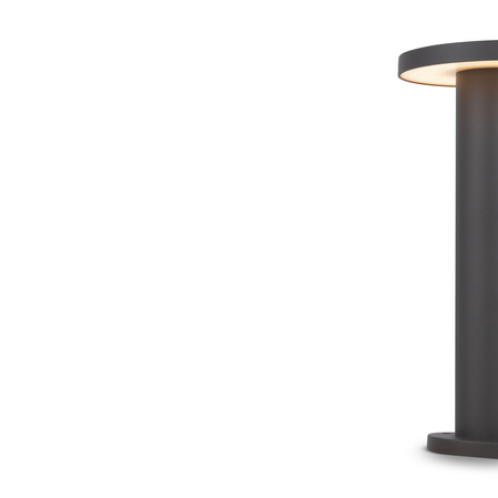 Lampa ogrodowa Graphite Wald Maytoni O420FL-L12GF