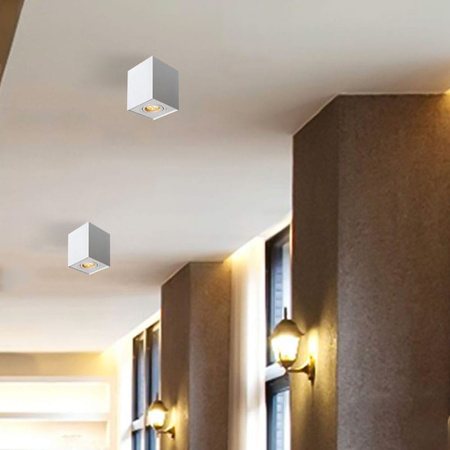 SURFACE-MOUNTED MOVABLE TUBE LAMP GU10 ULDL40 Unilight