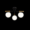 Lampa sufitowa Czarny/Black Paolina Maytoni MOD141CL-03B