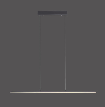 Lampa Wisząca Antracyt PURE-LITE 003902-029355 Newgarden