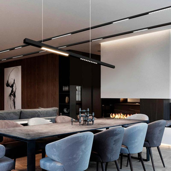 Zestaw Podwieszany do Szyn Magnetycznych 48V-2m ULAC295 Czarny