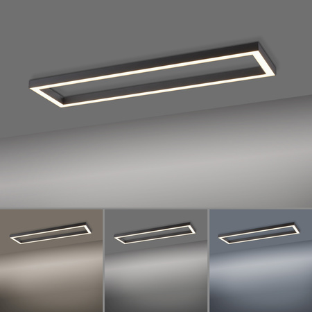 Lampa Sufitowa Antracyt PURE-LINES 003902-027566 Newgarden