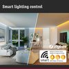 Oprawa liniowa systemu LINION LED SH ZIgbee17W 1m 3000K IP20 150VA 24V czarny RAL 9004 / aluminium PAULMANN PL98181