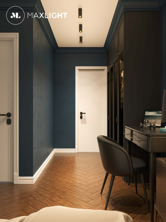 Maxlight Long C0154 Lampa Sufitowa/Plafon Okrągły Czarny