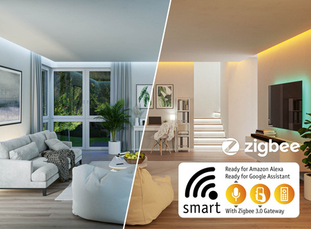 ZB Aptare Pendell RGBW TunW 32W Schwarz PAULMANN PL78024