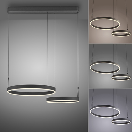 Lampa Wisząca Czarny ESKO 003902-030531 Newgarden