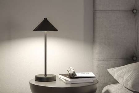 Pellini down LED  WhiteSw USBC Sz PU M PAULMANN PL71175