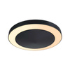 Plafoniera CIRCULA  14W SH Zigbee 2200-3000K IP44 230V antracyt / tworzywo sztuczne