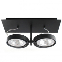 Oprawa sufitowa  ARNA 2xAR111 ULDL76 Unilight